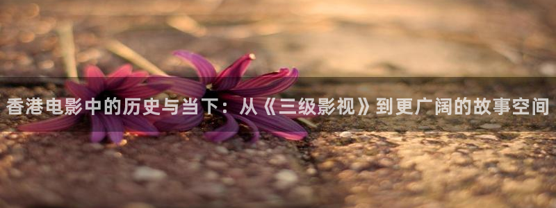 6080新视觉院：香港电影中的历史与当下：从《三级影视》到更广阔的故事空间